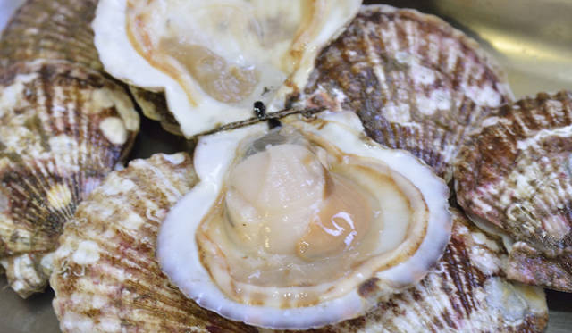 <strong>Cloudy Bay｜クラウディー ベイ</strong>　