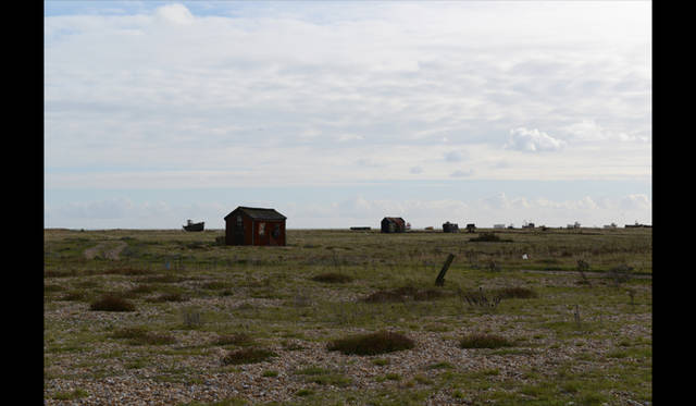 <strong>carnet de jardin｜松永 学</strong> ダンジェネスの荒涼