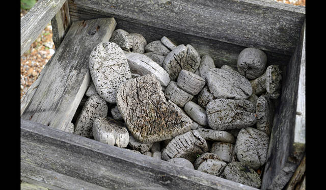 <strong>carnet de jardin｜松永 学</strong> 木々がまるで軽石のように