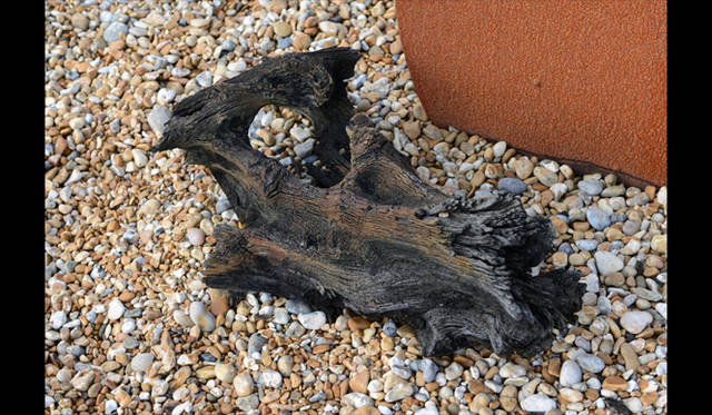 <strong>carnet de jardin｜松永 学</strong> 風化して色づく流木