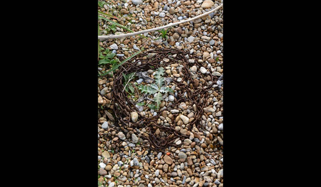 <strong>carnet de jardin｜松永 学</strong> 罠？