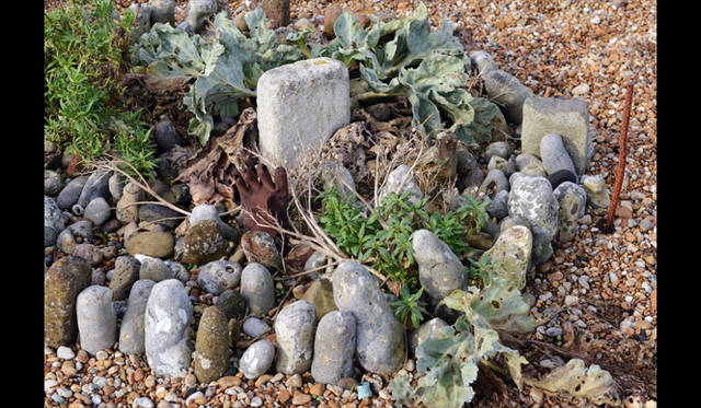 <strong>carnet de jardin｜松永 学</strong> お墓