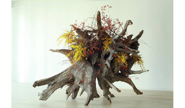 <strong>ART｜『plantica_Nomadic』展</strong>　