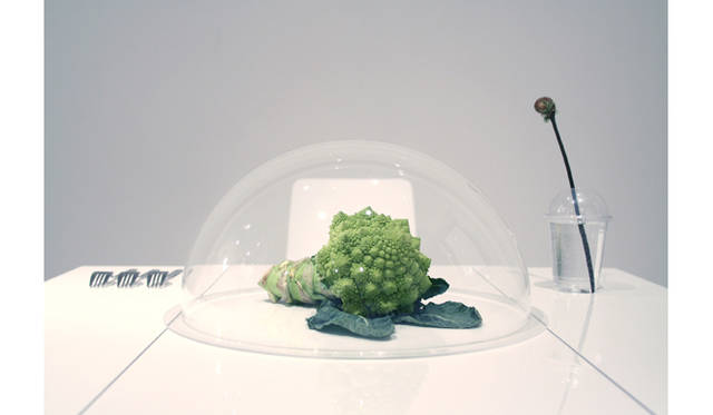 <strong>ART｜『plantica_Nomadic』展</strong>　