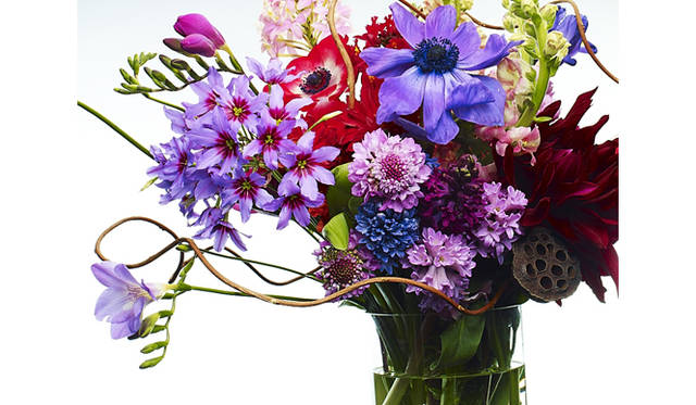 <strong>ART｜『plantica_Nomadic』展</strong>　