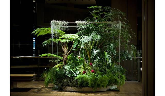 <strong>ART｜『plantica_Nomadic』展</strong>　