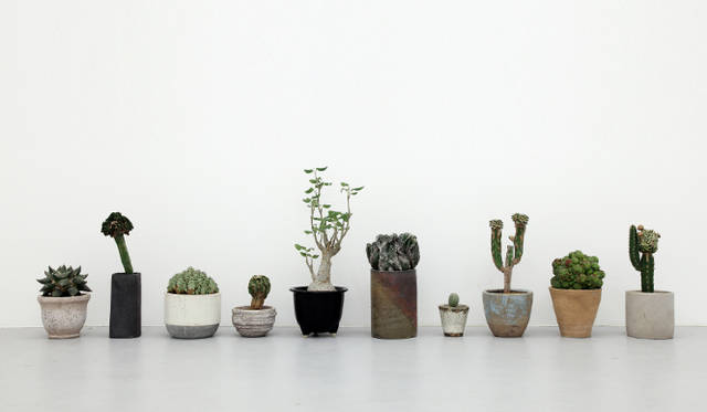 <strong>ART｜『Qusamura temporary shop at limArt vol.2－植物も個性の時代－』</strong>　© Kotaro Nakatani