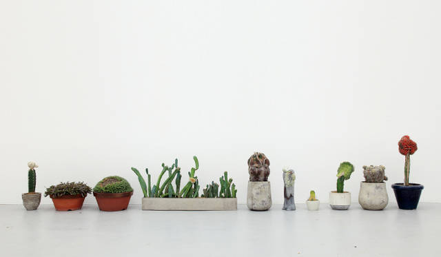 <strong>ART｜『Qusamura temporary shop at limArt vol.2－植物も個性の時代－』</strong>　© Kotaro Nakatani