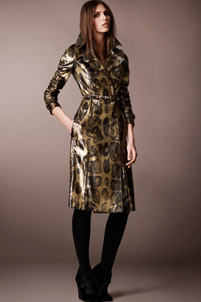 　2013年秋冬プレコレクション 