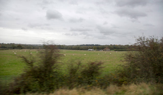 <strong>伝統と革新の英国ロイヤル文化を巡る旅</strong>