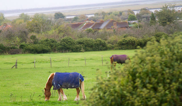 <strong>伝統と革新の英国ロイヤル文化を巡る旅</strong>　