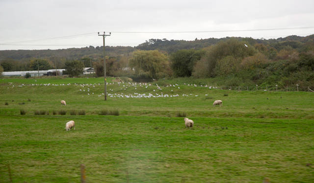 <strong>伝統と革新の英国ロイヤル文化を巡る旅</strong>