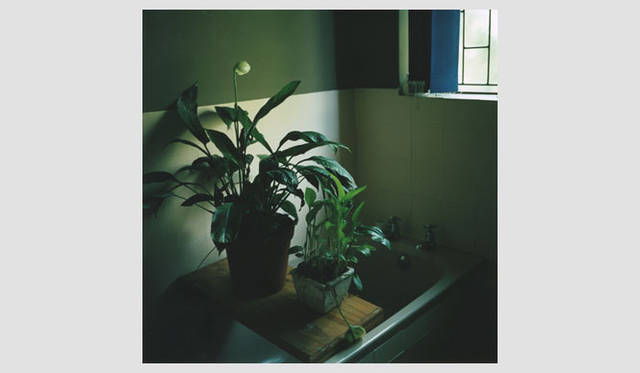 <strong>「beautiful」写真家4人展</strong>　吉川雅人（サブテーマ：reborn）「これまでの写真を見つめ直すとともにカタチのちがうものにする」