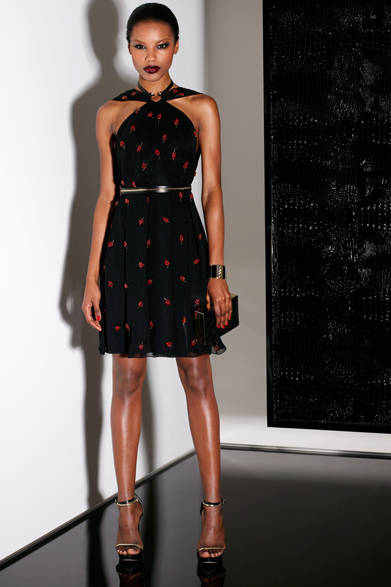 　2013年秋冬プレコレクション