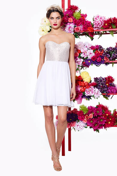 　2013年秋冬プレコレクション