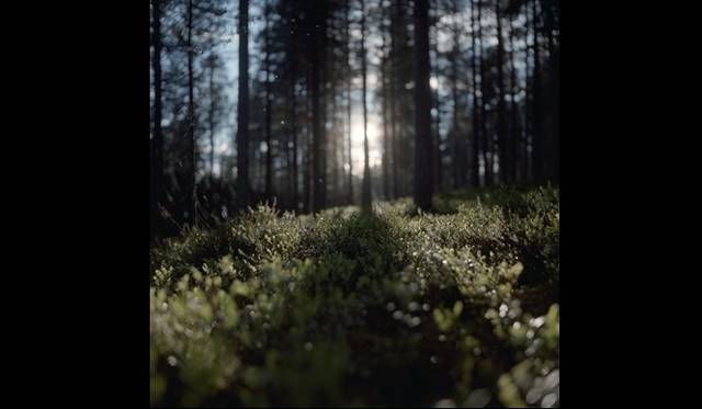 <strong>ART│『DOMANI・明日展2013』</strong>　糸井潤　シリーズ《Cantos Familia》より　2011年　©糸井潤