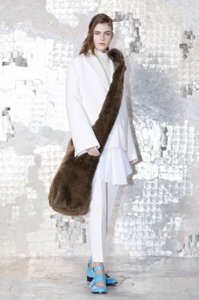 　2013年秋冬プレコレクション