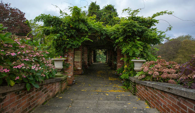 <strong>伝統と革新の英国ロイヤル文化を巡る旅</strong>　