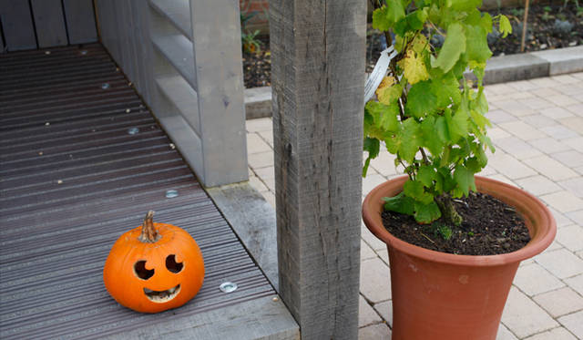 <strong>伝統と革新の英国ロイヤル文化を巡る旅</strong>　