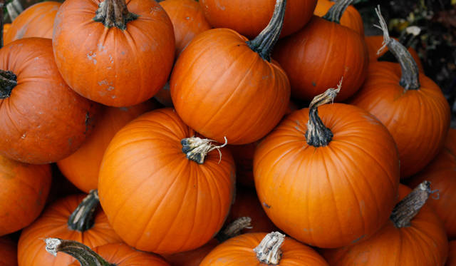 <strong>伝統と革新の英国ロイヤル文化を巡る旅</strong>　