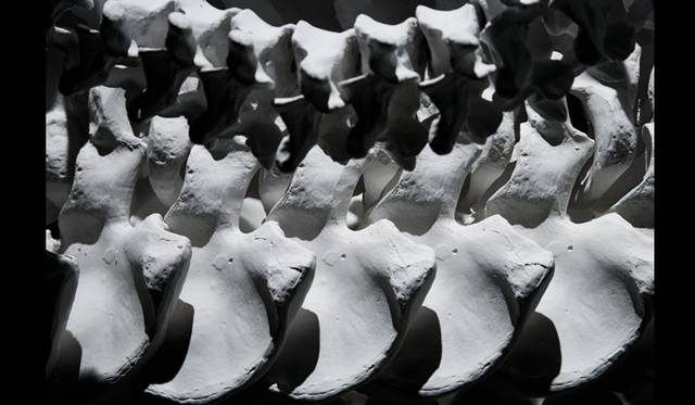 <strong>ART FILE 06｜「DEATH: A self-Portrait」</strong>　Detail of In the Eyes of Others, 2009 Credit:(c) Jodie Carey