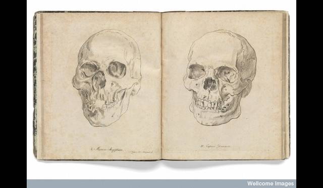 <strong>ART FILE 06｜「DEATH: A self-Portrait」</strong>　Johann Friedrich Blumenbach Credit:The Richard Harris Collection