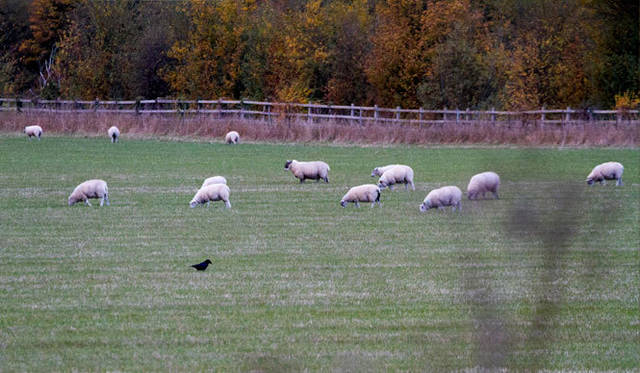 <strong>伝統と革新の英国ロイヤル文化を巡る旅</strong>　