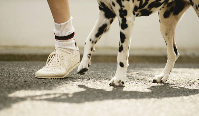 <strong>Onitsuka Tiger｜オニツカタイガー</strong>　2013春夏コレクション　