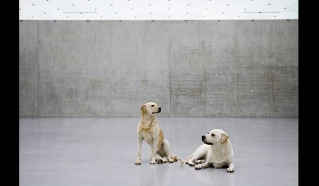 <strong>ART FILE 07｜「Maurizio Cattelan AMEN」</strong>　Untitled, 2007　Courtesy of Maurizio Cattelan’s Archive