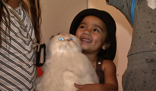 <strong>MOVIE｜ハーブ＆ドロシー ふたりからの贈りもの</strong>　Copyright © 2013 Fine Line Media,Inc. All Rights Reserved.