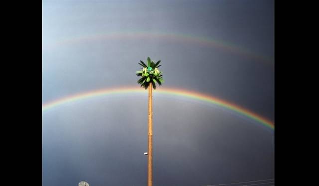 <strong>ART│『VALERIE MALLORY GALLERY EXHIBITION at COMMON GALLERY』展</strong>　ルイース・インギャルス・スタージェスの作品