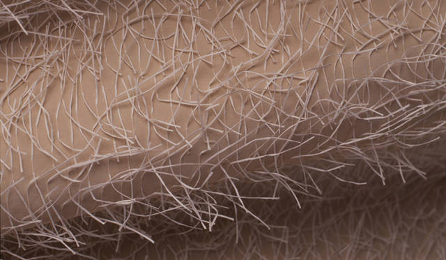 <strong>AAF｜須藤玲子×ナガオカケンメイ×平沼孝啓「D&DEPARTMENT×AAF 共同企画　連続トークイベントVOL.7」</strong>