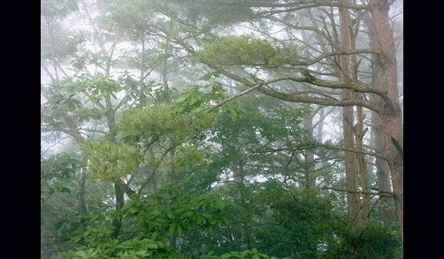 <strong> ART｜今井智己・写真展「Semicircle Law」</strong> 「Semicircle Law #16 2012. 6. 30 / 31km」2012年 Cプリント、イメージ＆ペーパーサイズ：26.9 x 37.4 cm