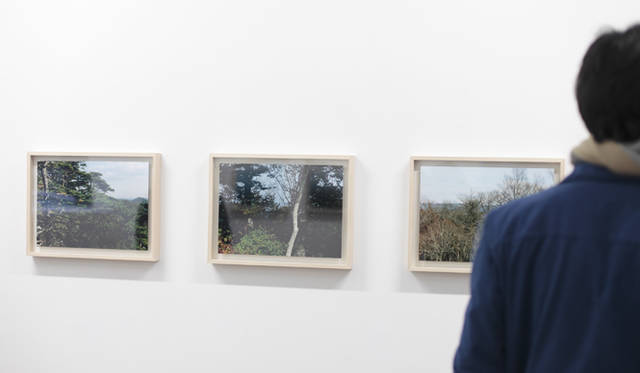 <strong> ART｜今井智己・写真展「Semicircle Law」</strong>