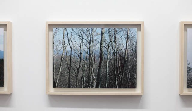 <strong> ART｜今井智己・写真展「Semicircle Law」</strong>