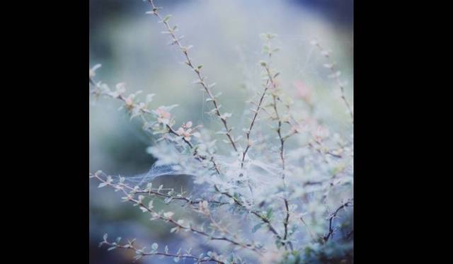 <strong>ART│大橋愛写真展『piece』</strong>　Untitled, from the series of 