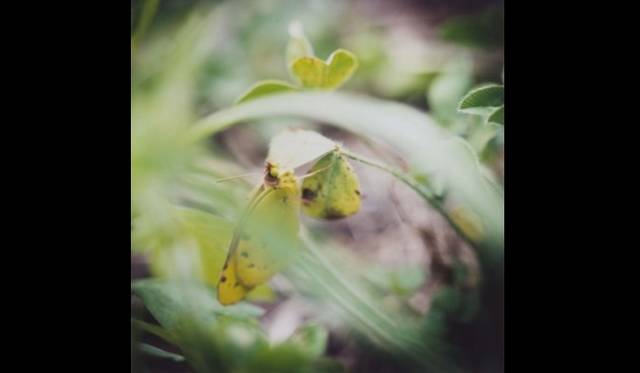 <strong>ART│大橋愛写真展『piece』</strong>　Untitled, from the series of 