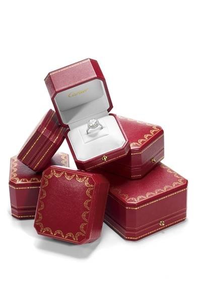 素材│プラチナ、ダイヤモンド<br />価格│パヴェあり0.4カラット　71万9250円～<br /><br />カルティエ カスタマー サービスセンター<br />0120-301-757<br /><br />© Guillaume Herbaut / INSTITUTE