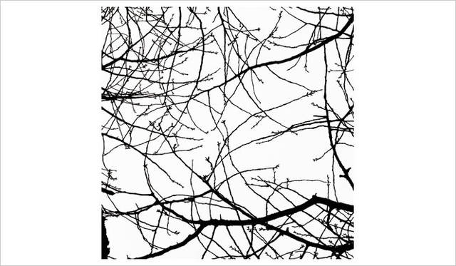 <strong>飯田信雄写真展 「夢見草」</strong>