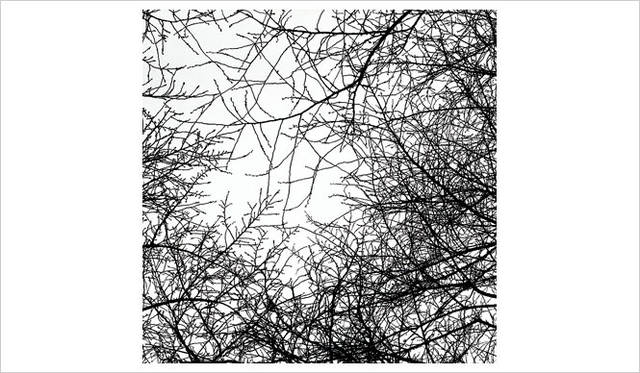 <strong>飯田信雄写真展 「夢見草」</strong>