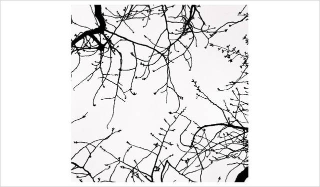 <strong>飯田信雄写真展 「夢見草」</strong>