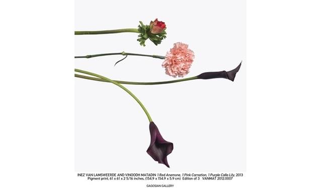 <strong>ART FILE 09｜「INEZ & VINOODH : PHOTOGRAPHS」</strong> © Inez & Vinoodh / Courtesy Gagosian Gallery