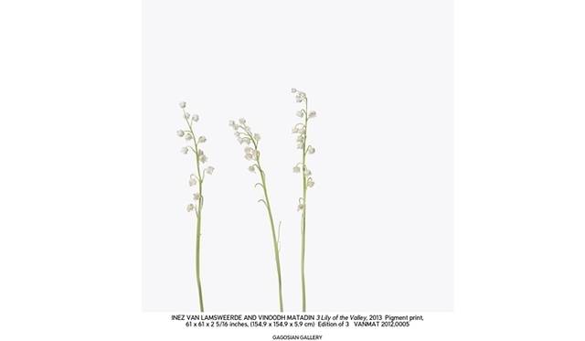 <strong>ART FILE 09｜「INEZ & VINOODH : PHOTOGRAPHS」</strong> © Inez & Vinoodh / Courtesy Gagosian Gallery