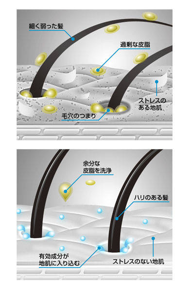 <strong>P&G｜プロクター・アンド・ギャンブル・ジャパン</strong>　ヘアケア製品「エイチ・アンド・エス フォー・メン ボリュームアップ シリーズ」<br>地肌ストレスの根本原因に働きかける「地肌と髪リバイタル処方」。地肌と髪の汚れを取り去りながら、有効成分が地肌のすみずみにまで行き渡りすこやかな地肌を保つ