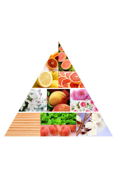 <strong>P&G｜プロクター・アンド・ギャンブル・ジャパン</strong>　ヘアケア製品「エイチ・アンド・エス フォー・メン ボリュームアップ シリーズ」<br>h&s for menの香りは、最新の日本人男性の嗜好を調査し開発。ブラッドオレンジやブラジリアンレモンのシトラスカクテルを基調に、フレッシュフルーツのみずみずしいトップノートを持つ。それにつづくミドルノートは上品な花々の香り。そして最後にキレのあるミントと深みのあるウッディームスクのラストノートが引き立つ