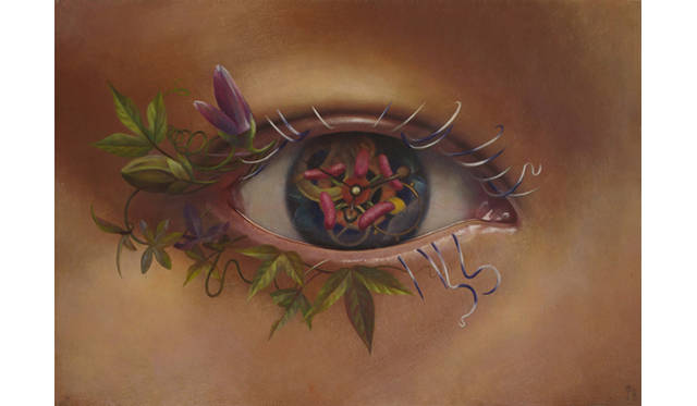 藤原由葵／《Eye hole-passionfruit-》／2011／ギャラリーギャラリーゑぎぬ