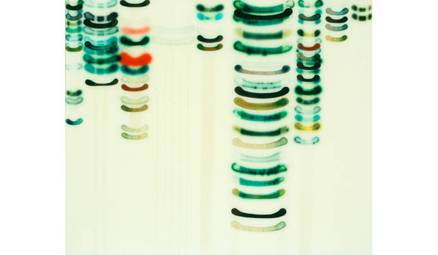 ジャック・シャルティエ／《Infusion w/BG#3》／2007／acrylic, stains and paint on wood panel／51ｘ61cm／©Jaq Chartier／ベイスギャラリー