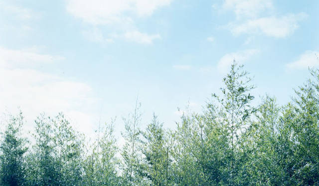 <strong>Nowhere resort｜ノーウェア リゾート</strong>　横須賀市秋谷「Nowhere but Akiya」　© Chiyoe Sugita