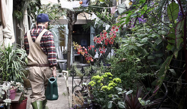 <strong>Green Fingers｜川本 諭</strong>　『Deco Room with Plants -植物とつくる、自分らしいインテリアスタイル-』　川本 諭　自宅庭（2012）　Photographs by Eisuke Komatsubara（moana）