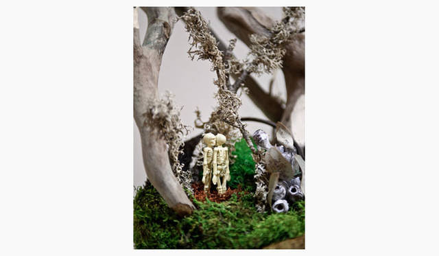 <strong>Green Fingers｜川本 諭</strong>　『Deco Room with Plants -植物とつくる、自分らしいインテリアスタイル-』　Exhibition「The art of bonsai」2012 @H.P.FRANCE　Photographs by Eisuke Komatsubara（moana）